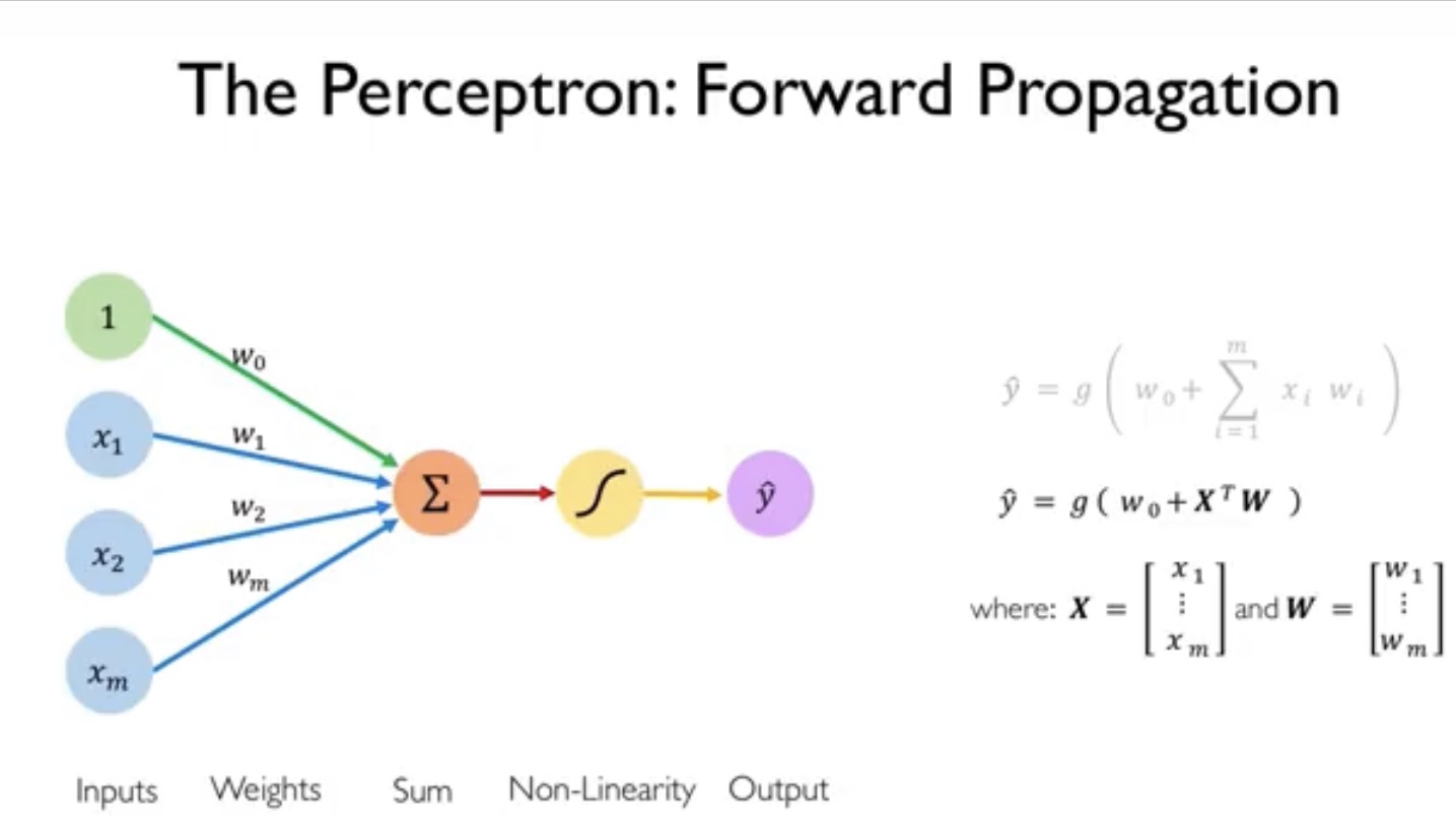 ../_images/01Perceptron-ForwardPropagation.jpg