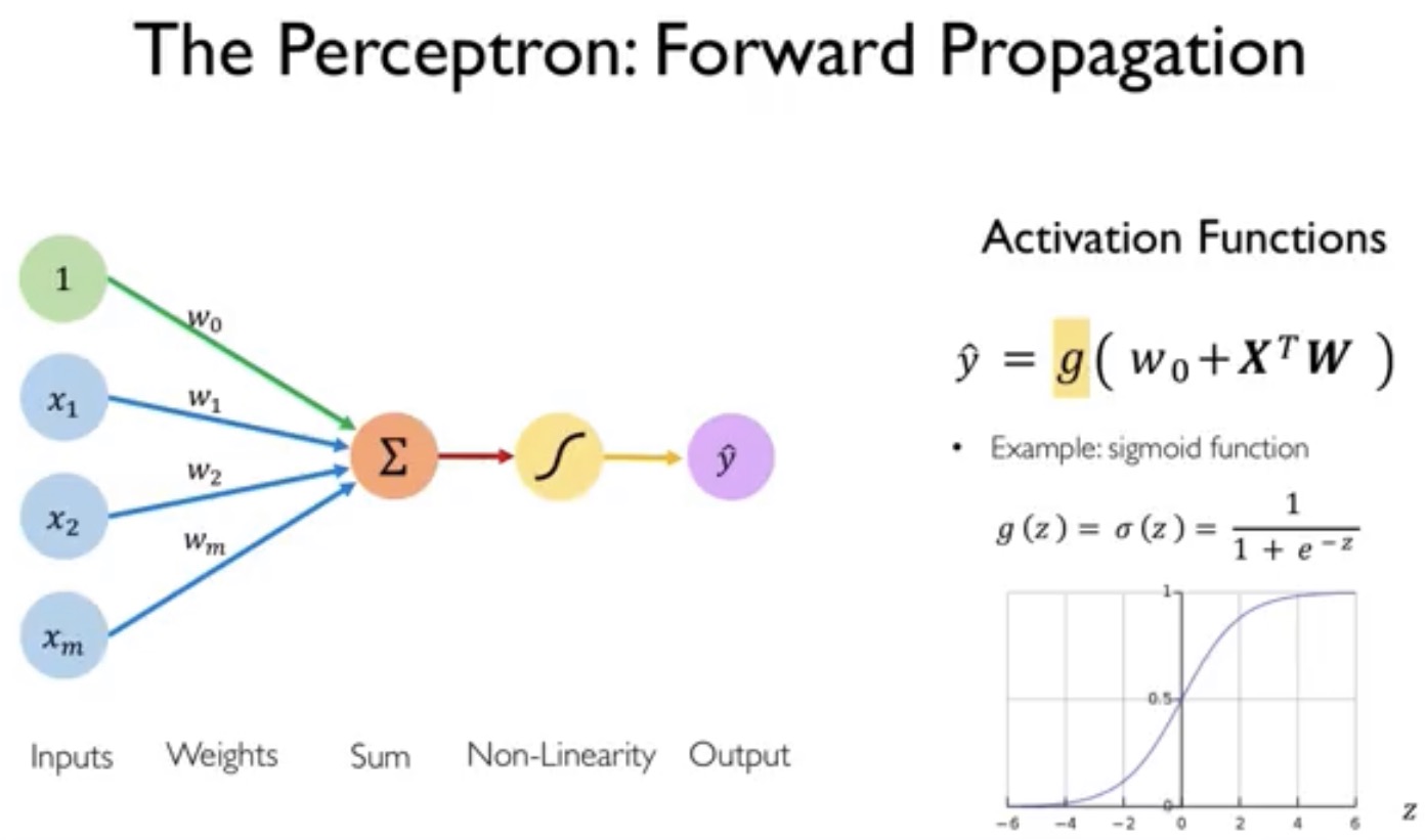 ../_images/02Perceptron-ForwardActiveFunctions.jpg